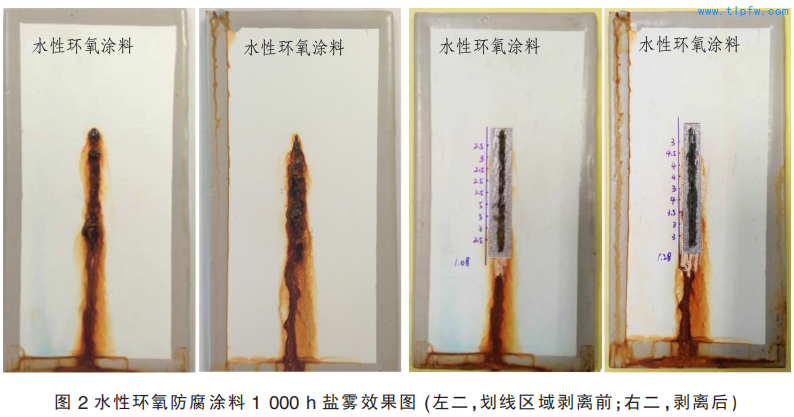 水性环氧防腐涂料 1 000 h 盐雾效果图 (左二，划线区域剥离前；右二，剥离后）